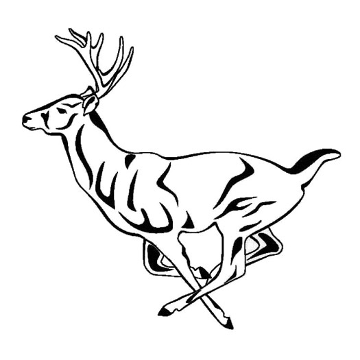 525x525 Paper Transfer Tattoo