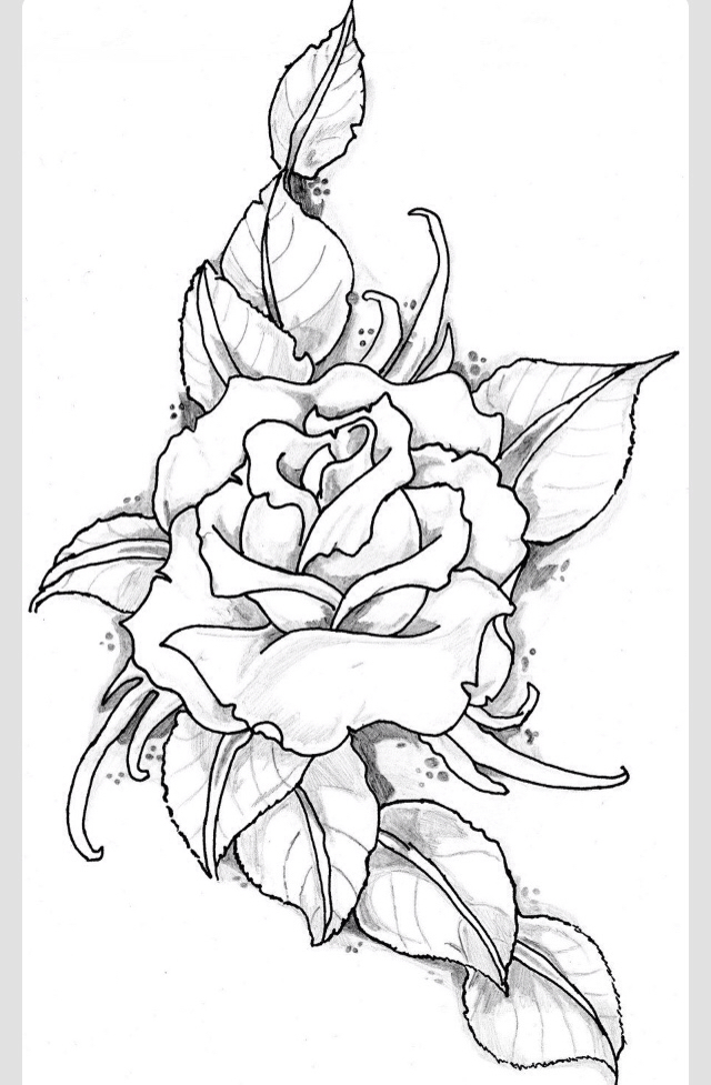 640x977 Pin By Lexi Nikole On Tattoosssss. Primer, Draw