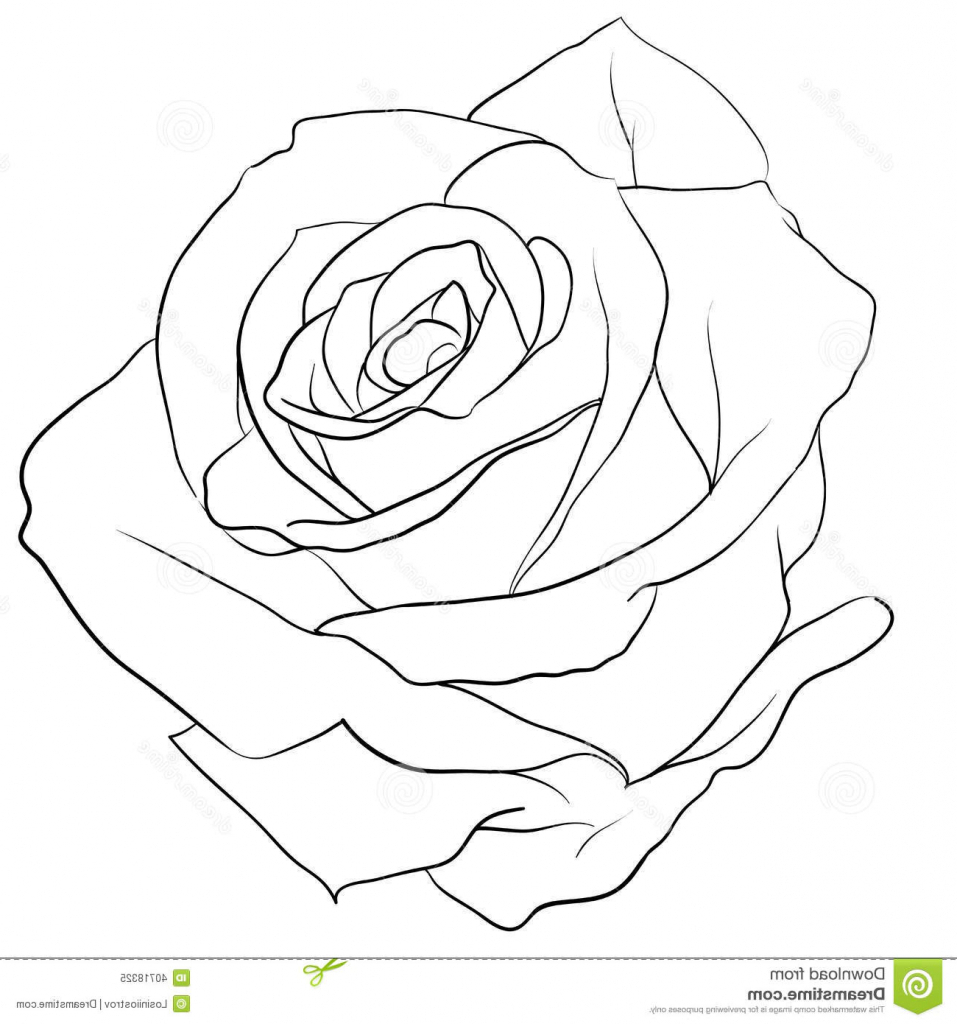 Tattoo Drawing Rose at GetDrawings | Free download