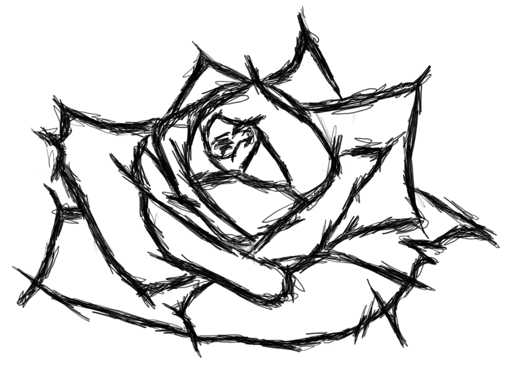 1024x768 Rose Tattoo Sketch By Ic Art