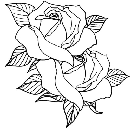 500x495 Best Portrait Tattoo Artist In Charlotte Nc, Roses Tattoos Tumblr