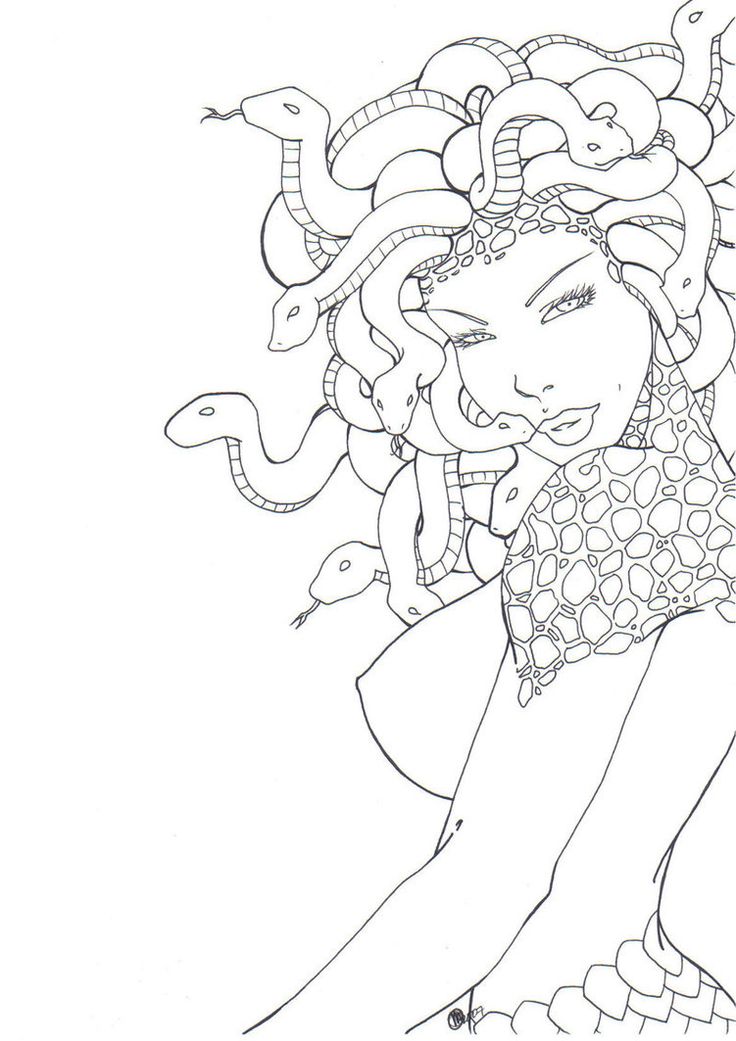 736x1041 Collection Of Outline Medusa Tattoo Flash