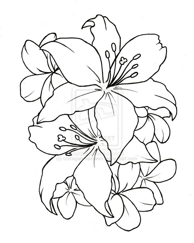 773x969 Flowers Tattoo 35 Flower Drawings, Flower Tattoos And Tatto