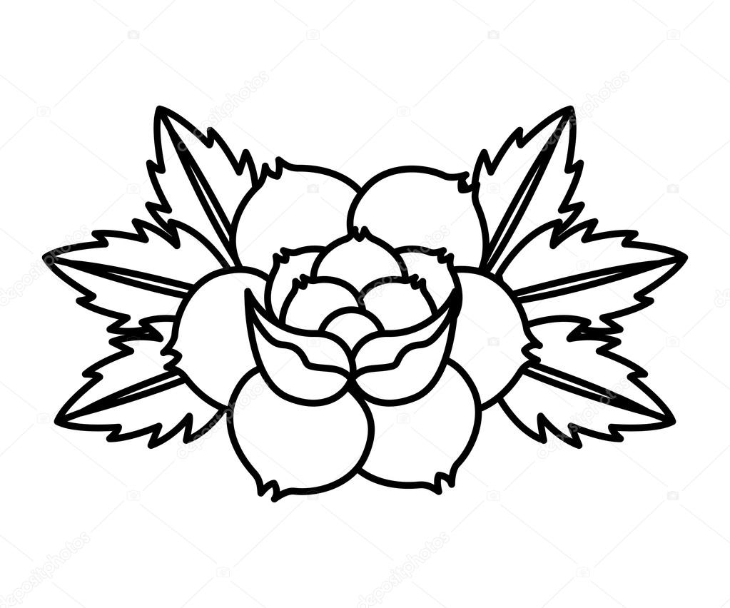 1023x852 Flower Drawing Tattoo Style Isolated Icon Stock Vector