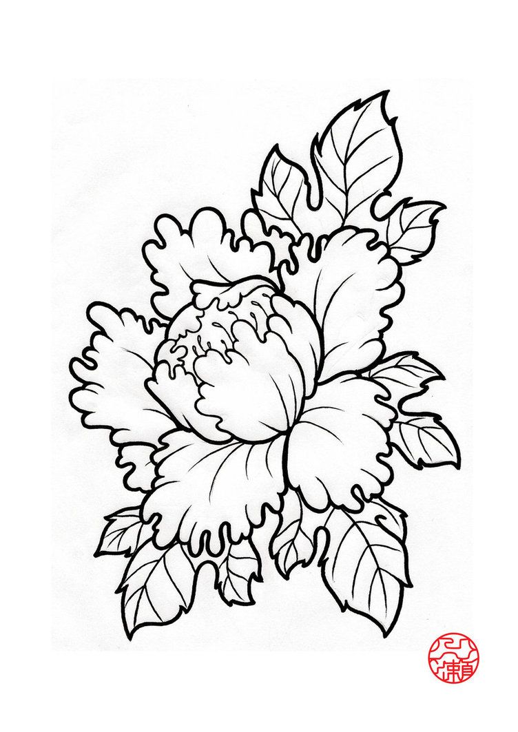 752x1063 Japanese Peony Tattoo Flash