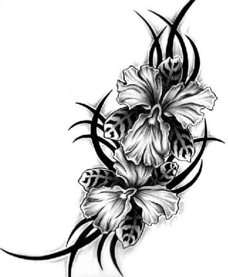 800x972 Flowers Tattoo Drawings