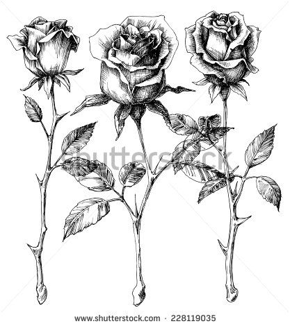 417x470 58 Best Tattoos Lt3 Images On Tattoo Ideas, Tattoo