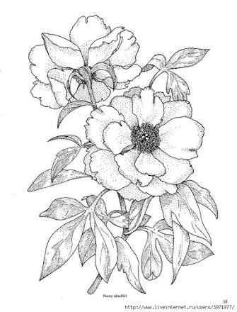 Tattoo Roses Drawing