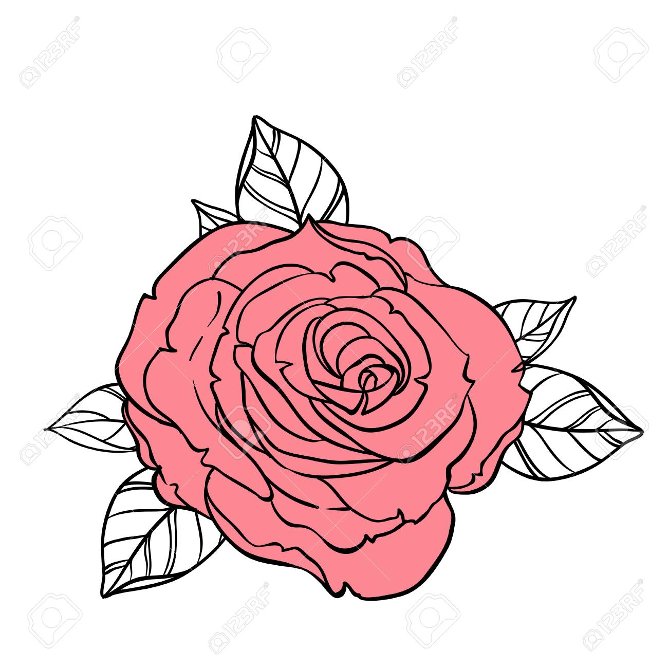 1300x1300 Beautiful Roses Bouquet Drawing Isolated On White. Hand Drawn