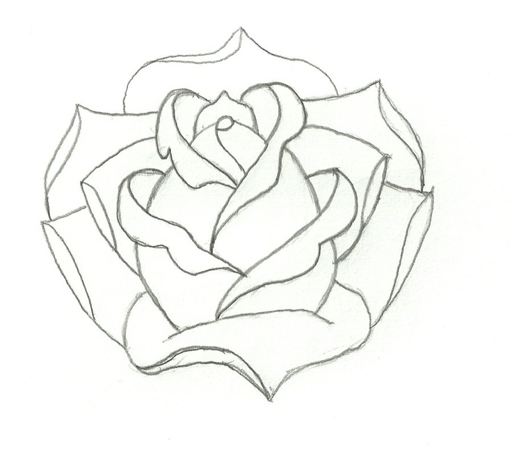 736x646 Collection Of Rose Outline Tattoo Design
