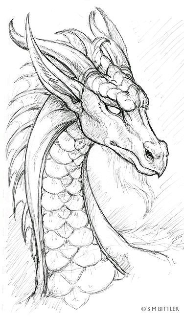 376x648 Drawn Dragon Dragons Dragons, Drawings And Drawing