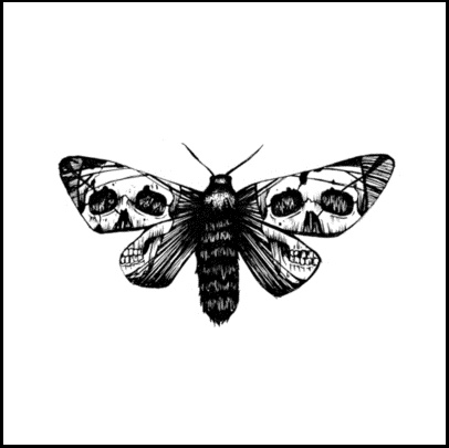 406x405 Drawn Moth Skull