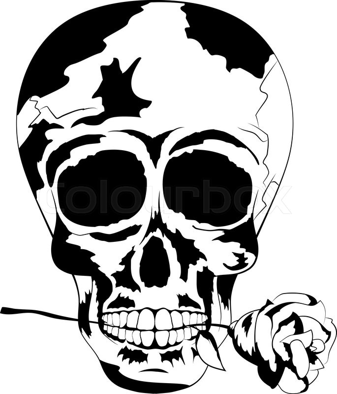 685x800 Vector Of Cool Human Tattoo Skull With Rose In The Mouth, Shadows