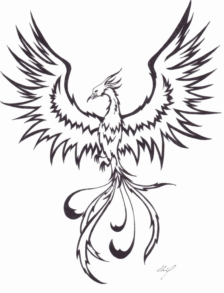 782x1022 Phoenix Coloring Pages New Phoenix Tattoo On Tumblr
