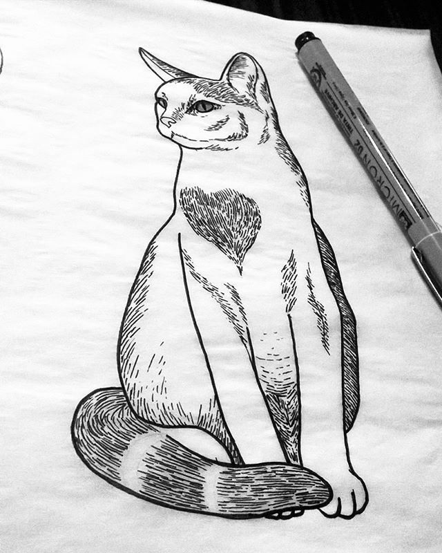 640x800 20 Best Drawing, Tattooing, Dotwork, Linework Images