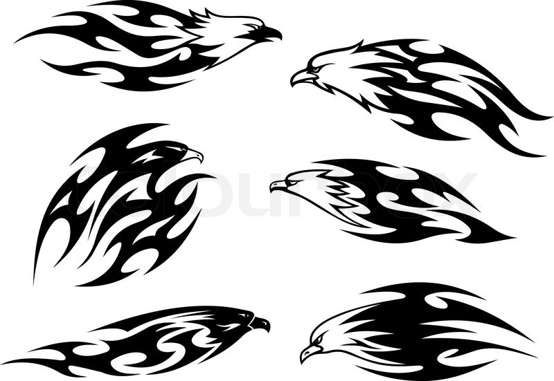 800x551 Black And White Flying Eagles, Falcons And Hawks In Tribal Style