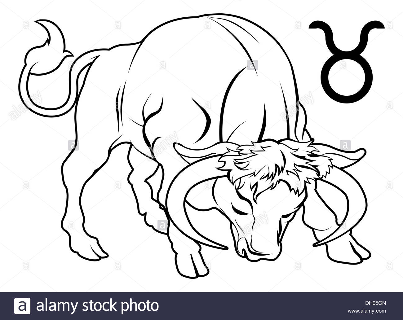 1300x1033 Illustration Of Taurus The Bull Zodiac Horoscope Astrology Sign