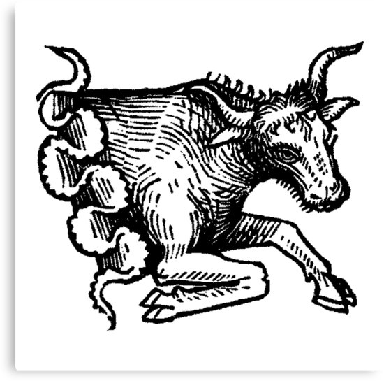 Taurus Bull Drawing at GetDrawings | Free download