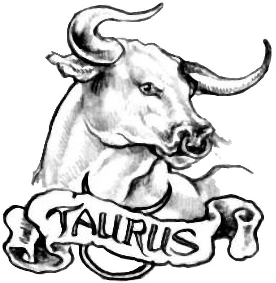 549x563 Cf7287aab9dd879712813395dfb4a797 Taurus Bull Tattoos Zodiac Sign