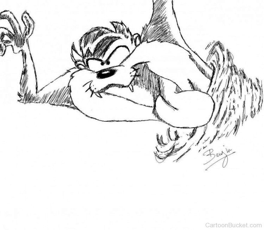 881x768 Taz Pictures, Images