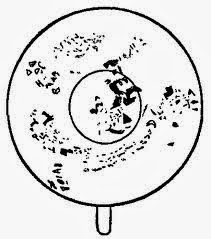 211x239 Art Of Divination Tea Leaf Reading