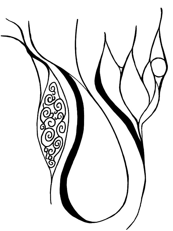 673x900 Teardrop Flower Drawing By Trinity Bass