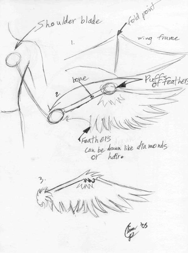 600x807 Wing Drawing Tutorial By Tears And Feathers