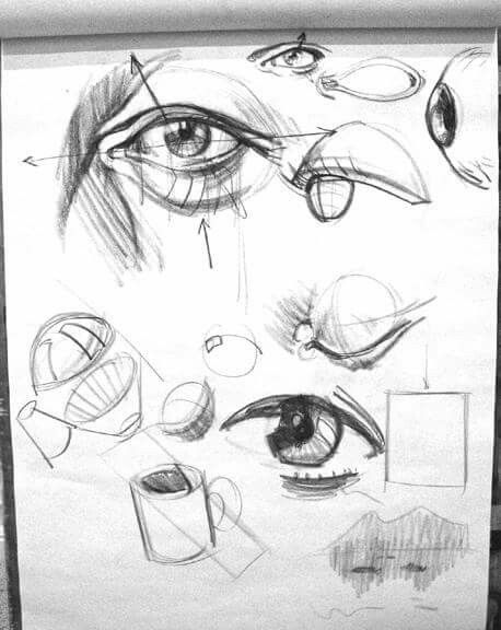 458x576 152 Best Anatomy Images On Drawing Techniques, Drawing