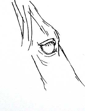 277x362 July Classroom