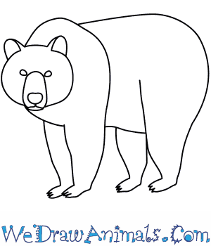 300x350 How To Draw A Brown Bear