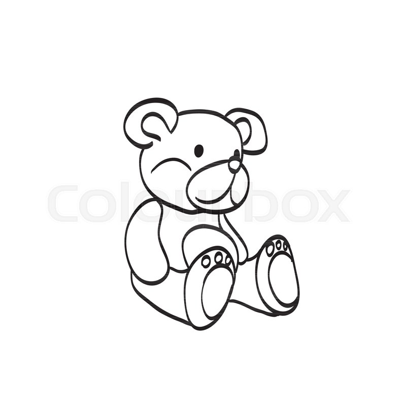 800x800 Teddy Bear Sketch. Drawing On A White Background Stock Vector