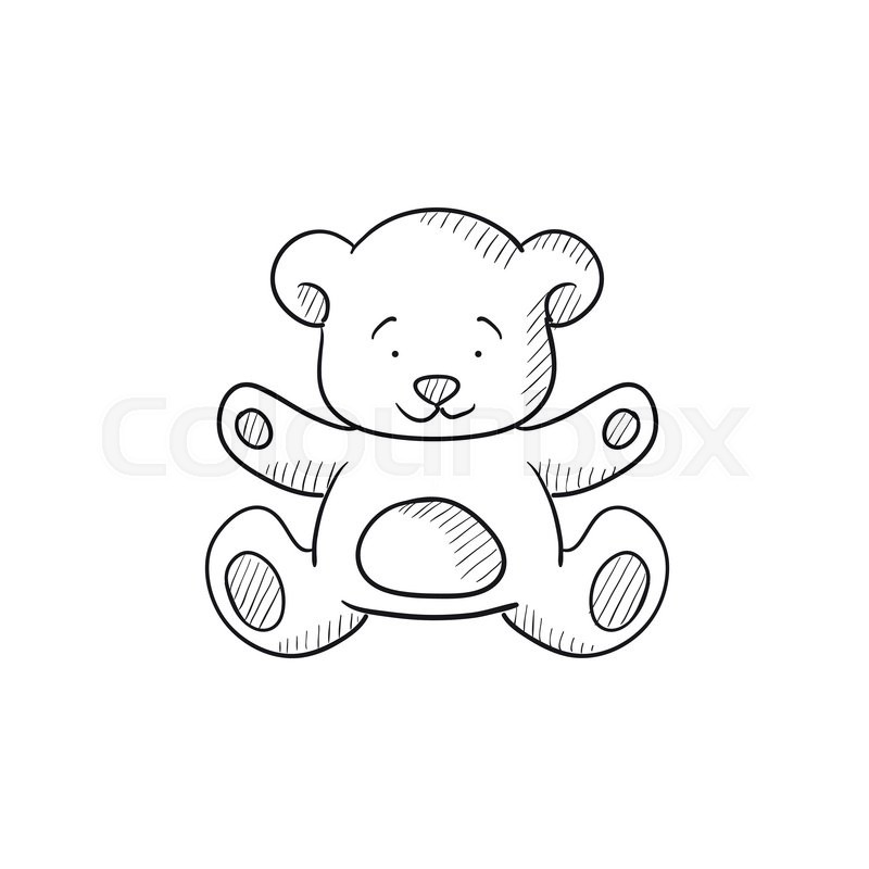 800x800 Teddy Bear Vector Sketch Icon Isolated On Background. Hand Drawn