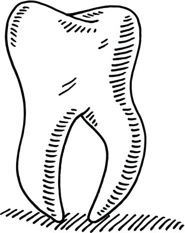 369x464 The Best Tooth Drawing Ideas On Mouth Drawing