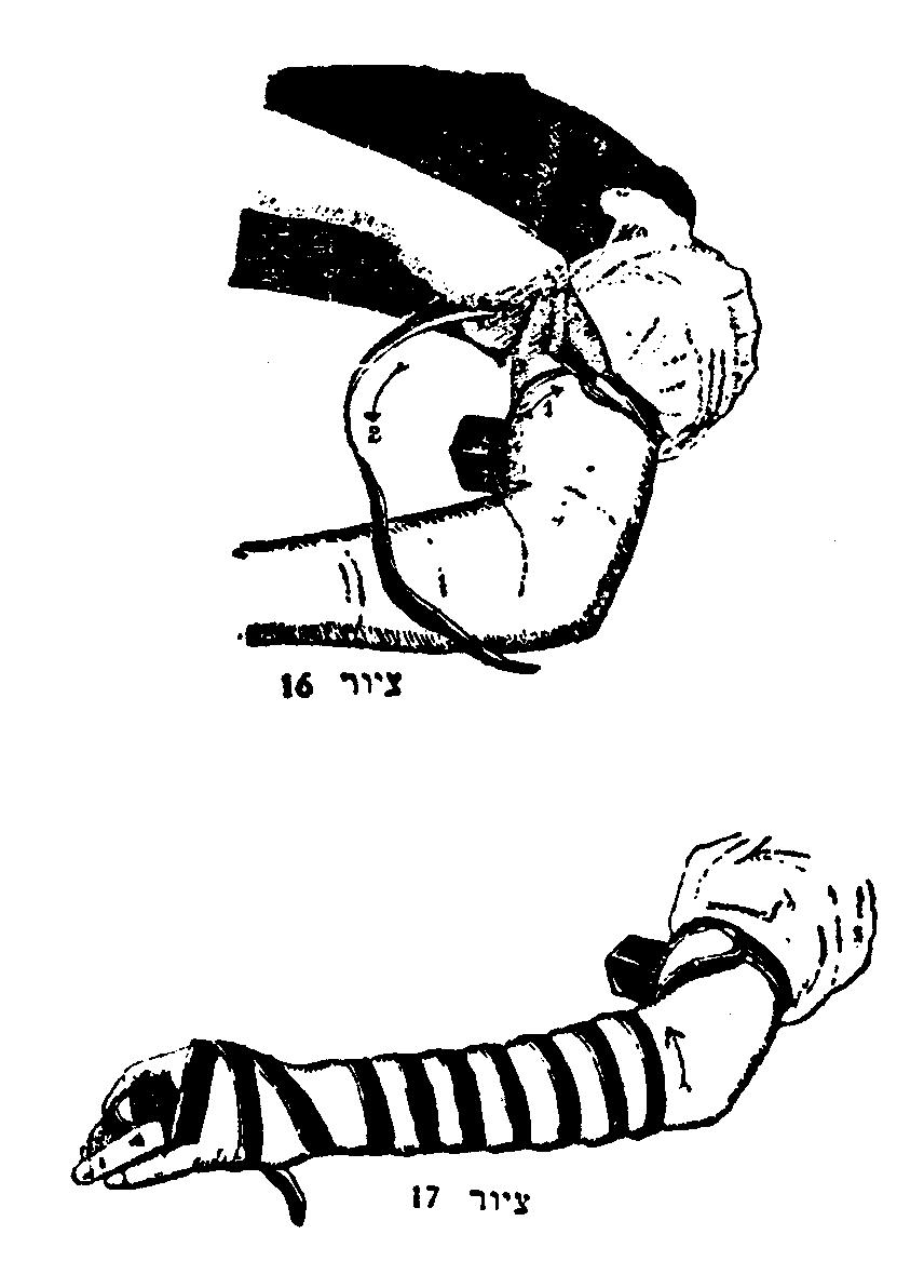 856x1192 The Mitzvah Of Tefillin