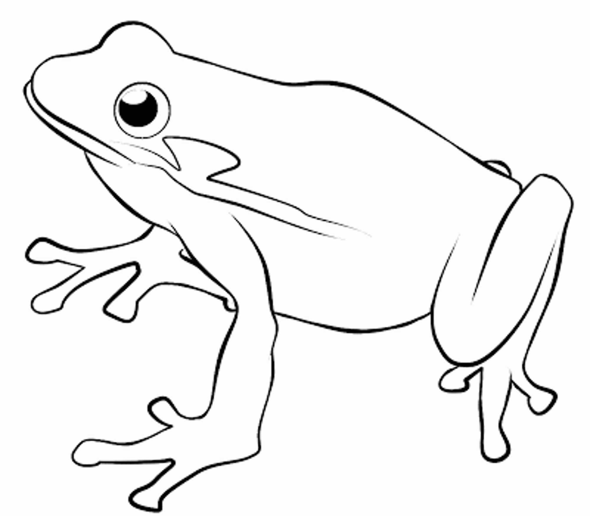 2000x1750 Coloring Pages Luxury Frog Drawing For Kids Incredible Coloring