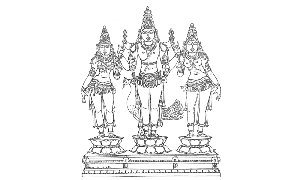 1000x600 Venkateshwara Padmavati Devasthanam Trust (Temple In Ajmer, South