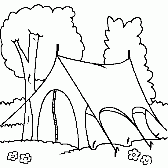 550x550 Summer Pictures