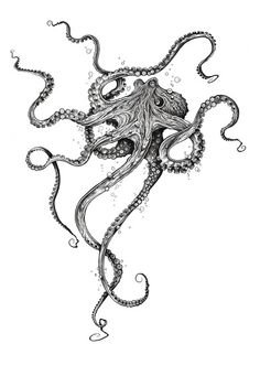 236x341 Octopus Ink Illustration. The Tentacles Are Perfect. Great Job,