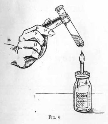 359x413 Science Notebook