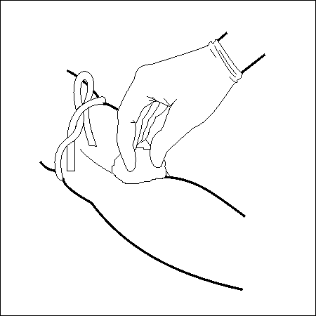 450x450 General Instructions