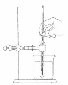 236x293 Mr. Manolopoulos