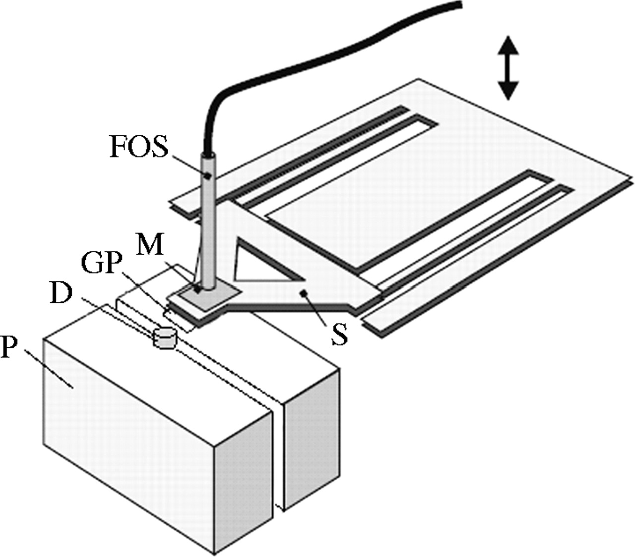 1280x1124 Adhesion Echinoderm Tube Feet To Rough Surfaces Journal