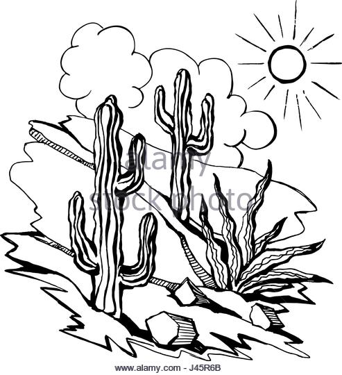 493x540 West Texas Landscape Stock Vector Images