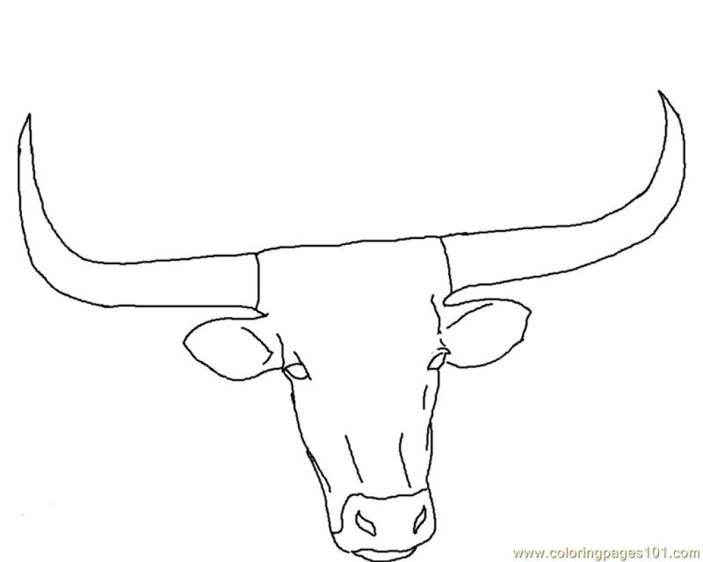 1024x819 Gallery For Gt Longhorn Face Drawing Clean Lines