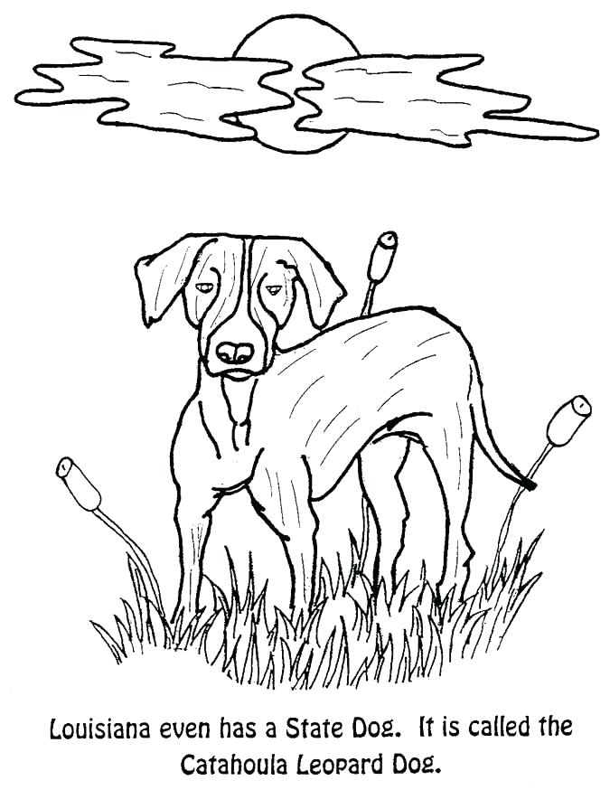 675x874 Texas Symbols Coloring Pages State Symbols Coloring Pages State