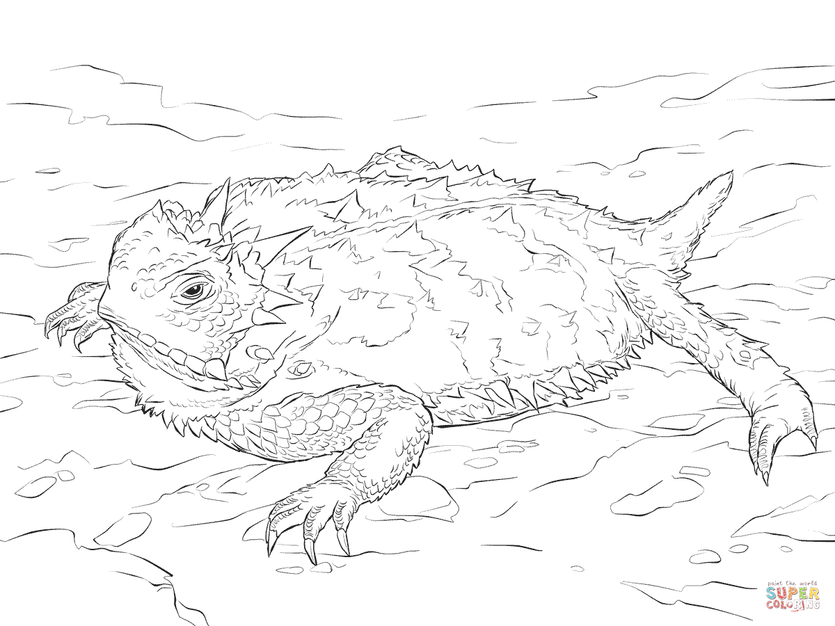 1200x900 Realistic Texas Horned Lizard Coloring Page Free Printable