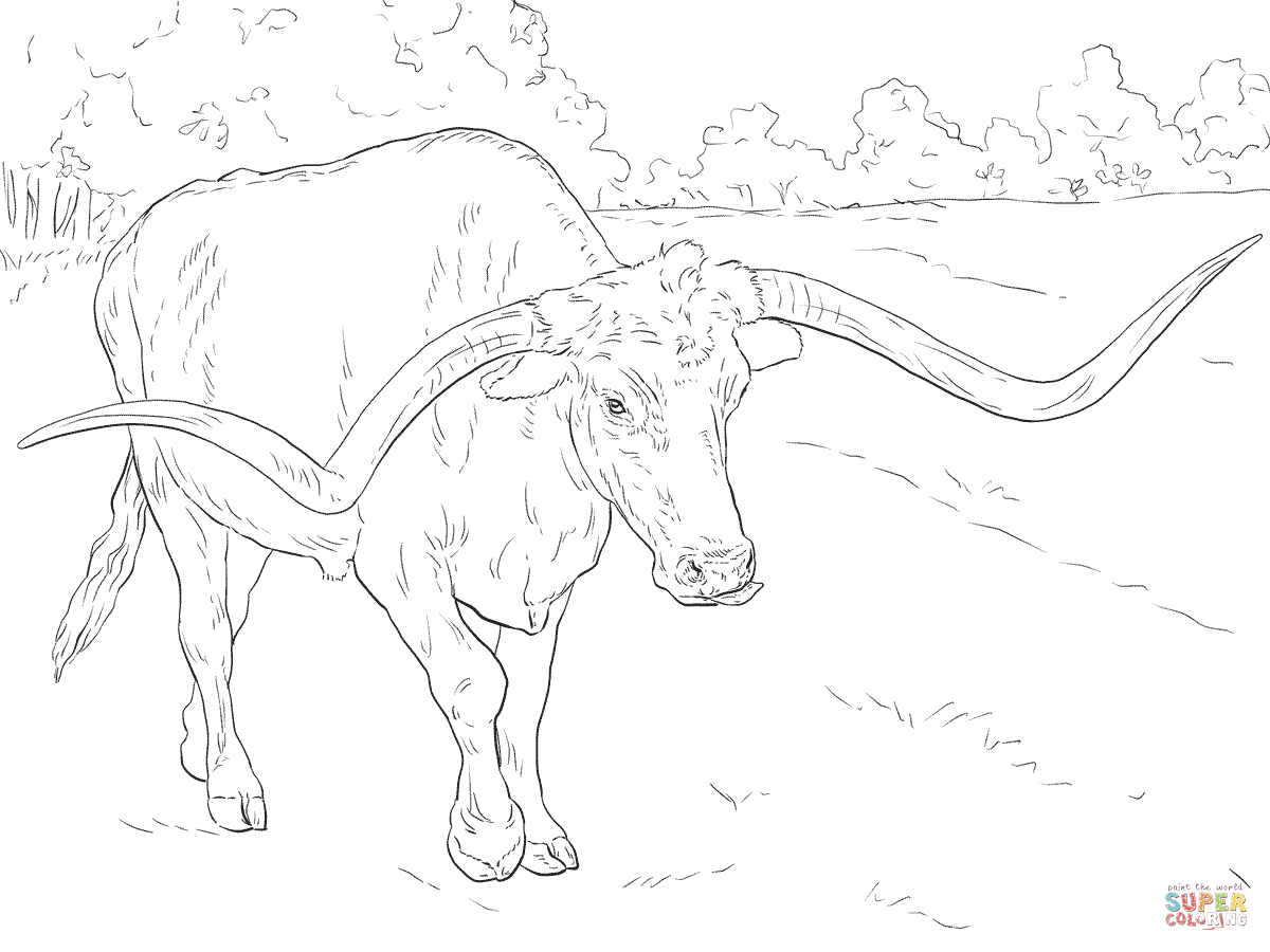 1200x900 Realistic Texas Longhorn Coloring Page Free Printable Coloring Pages