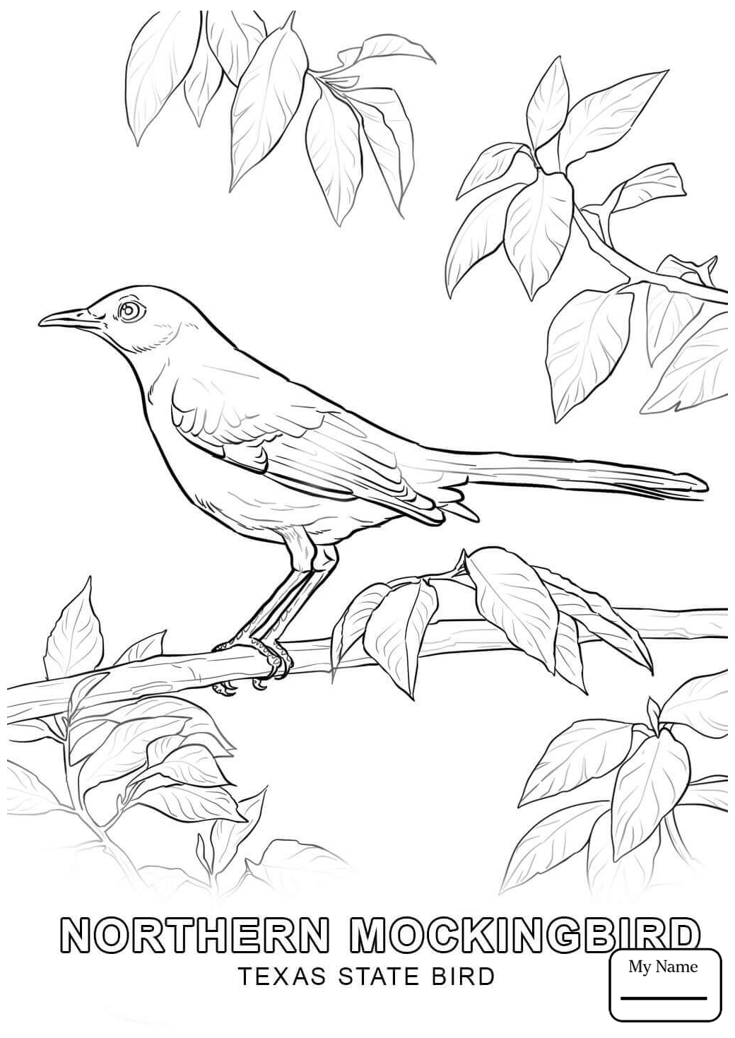 1040x1469 Texas Coloring Pages