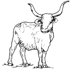 236x236 Tpwd Kids Texas Symbols Fish Mosaic Ideas Fish