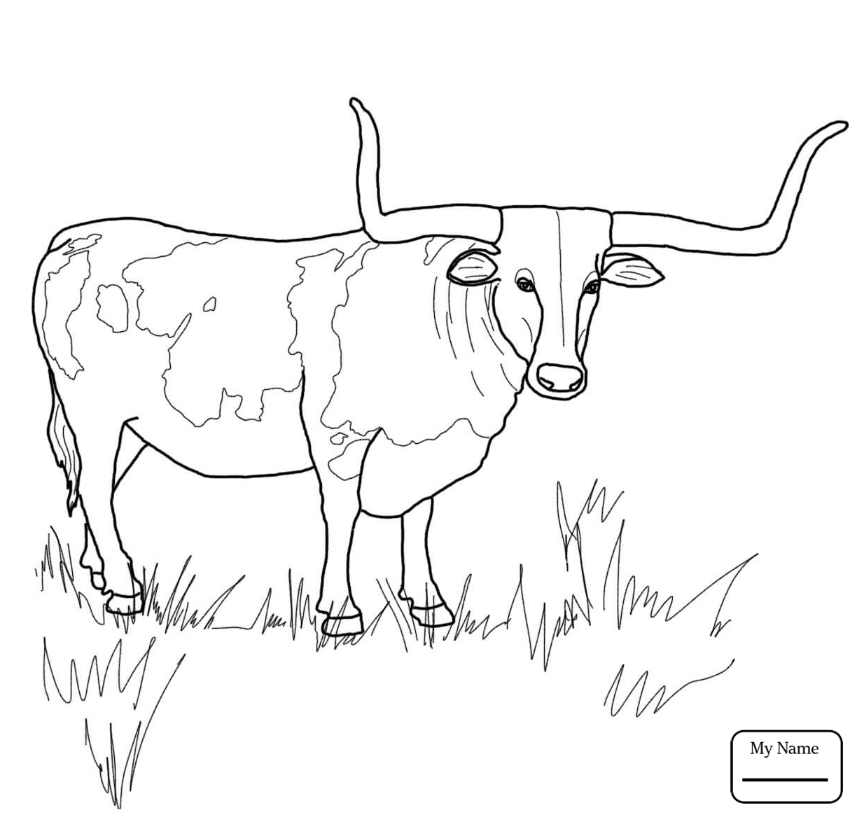 1224x1167 Longhorn Mammals Texas Longhorn Steer Coloring Pages